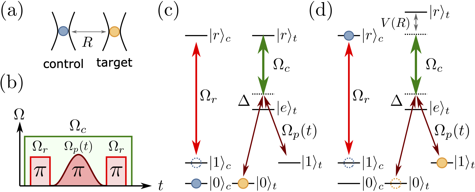 EIT gate protocol (a) Control and target qubits in individual traps (b) Excitation pulse sequence (c) If the control qubit is in state |0&gt;, the EIT condition on the target qubit prevents transfer whilst (d) if the control qubit is in |1&gt; it is Rydberg excited, with interactions breaking the EIT condition and the target undergoes a Raman transition to implement a native CNOT gate.