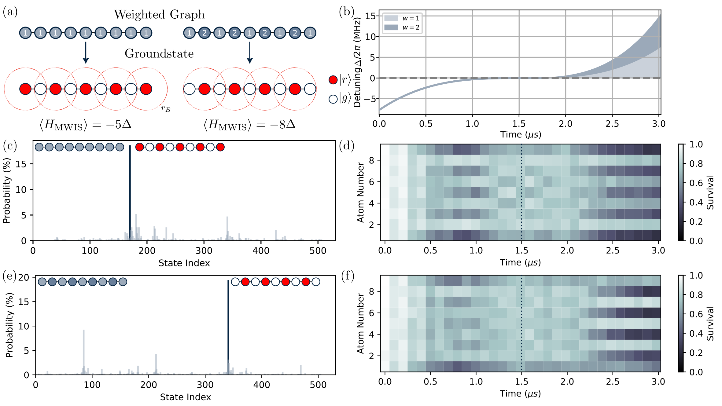 Optimisation with 1D weighted chains: (a) For a uniformly weighted, odd-length 1D graph the ground state is the Z2-ordered phase with Rydberg excitations on odd sites which corresponds to the unweighted MIS. Introducing a weighting with wi=2 on even sites results in an MWIS ground state with Rydberg excitations localized to the even sites which is no longer equivalent to the MIS solution. (b) Optimal annealing ramp for preparing the weighted ground state obtained via closed-loop optimization for N=9 atoms spaced by a=7 µm. Output state probability (c) and time evolution (d) for the unweighted graph showing the odd-ordered target ground state is prepared with 19(1)% probability. Output state probability (e) and time evolution (f) for the weighted graph showing even-ordered ground state is also prepared with 19(1)% probability.