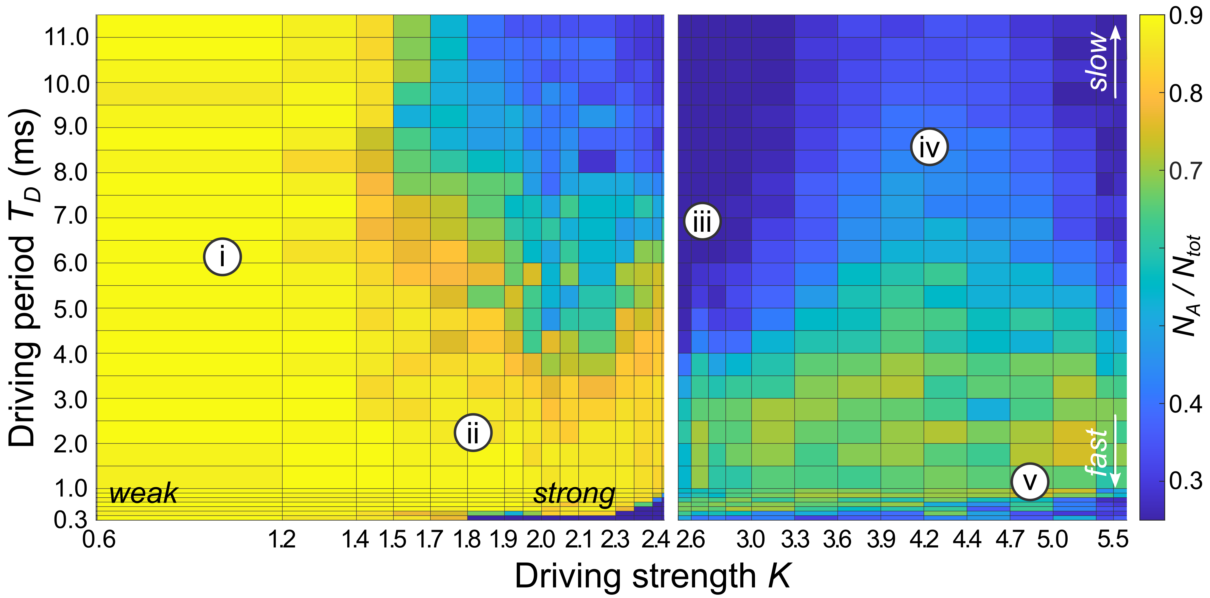 Experimental measurement of the stability of a driven BEC in a 1D lattice potential. The number of atoms NA close to the initial quasimomentum of the quantum gas is measured after driving for approximately 30ms with strength K and driving period TD. Colors from yellow to blue indicate stable to unstable regions. Left and right panels indicate different initial states for positive and negative values of the effective tunneling element.