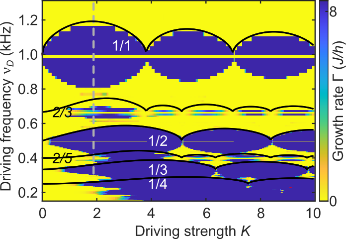 Fig. 5: Calculated growth rate of phonon modes using the Bogoliubov-de Gennes equations.