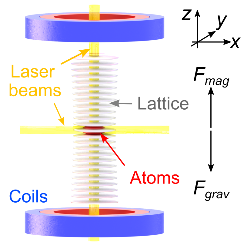 Fig. 1: Experimental setup. A Bose-Einstein condensate of cesium atoms is trapped in a vertical optical lattice and levitated using a magnetic field gradient. The driving force is applied by periodically shaking the lattice sites, and the tilt is introduced by slightly reducing the magnetic field gradient below the value required for levitation.