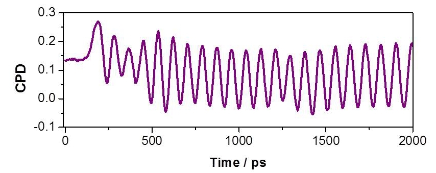 Self-oscillations of the circular polarization degree after perturbation of a VCSEL electrically biased at the polarization switching point with a short puls providing a spin polarization. See App. Phys. Lett. 99, 151107 (2011) for details.