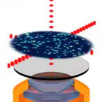 Ultracold atoms in an optical lattice