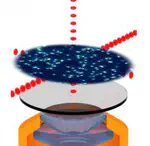 Quantum-gas microscopy of many-body quantum states in programmable light potentials