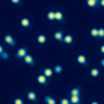 Quantum-gas microscopy with K<sup>40</sup>