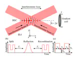 Detection of multiple forces at same time with a BEC interferometer
