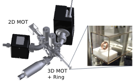 Dual-species interferometer