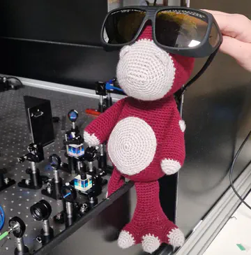 New team member